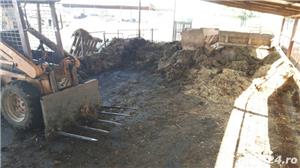 Curat saivane grajduri de animale - imagine 6