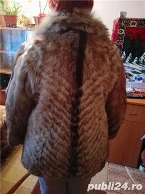 Haina dama - imagine 2