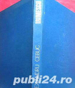 Irimescu, Alexandru Cebuc, 1983