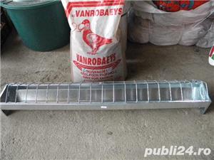 Hranitoare porumbei  - imagine 5