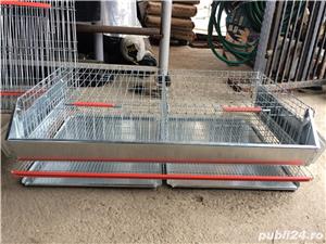 Cusca de prepelite ouatoare 90 cm 50 prepelite - imagine 2