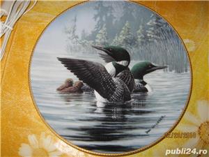 Canada farfurii pictate originale,sisteme fixare,rame octogonale dedicate,cutii transport speciale - imagine 3