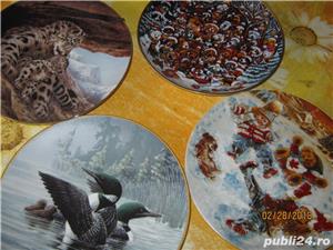 Canada farfurii pictate originale,sisteme fixare,rame octogonale dedicate,cutii transport speciale