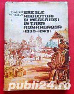 Breslele, negustorii si meseriasii din Tara Romaneasca, Vladimir Diculescu, 1973