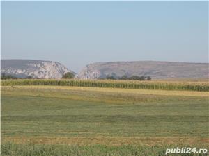 Vand ieftin parcele de teren intre 500 si 5000 mp.pt.case sau cabane in Turda - imagine 2