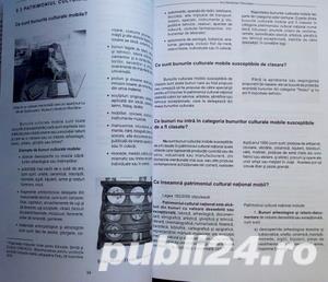  	 Un viitor pentru trecut, Irina Oberlander-Tarnoveanu, 2002 - imagine 6