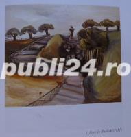 Margareta Sterian, Mariana Vida, 2000 - imagine 5