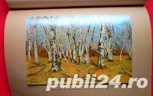 Padurea de fagi, Radu Bogdan, 1959 - imagine 10