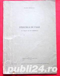 Padurea de fagi, Radu Bogdan, 1959