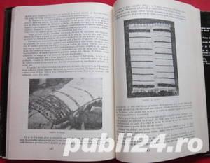 Marginenii Sibiului, Cornel Irimie, 1985 - imagine 4