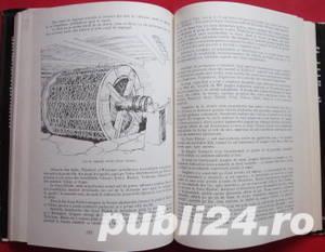 Marginenii Sibiului, Cornel Irimie, 1985 - imagine 8