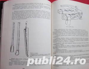 Marginenii Sibiului, Cornel Irimie, 1985 - imagine 10