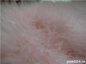  Geaca de dama - imagine 2