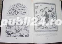  	 Enciclopedia civilizatiei si artei romane, Jean Claude Fredouille, 1974 - imagine 6