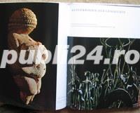 Imago Austriae. Verlog Herder Wien, 1979 - imagine 6