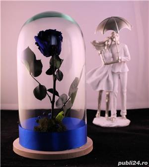 Trandafiri Criogenati 6.5cm cu cupola de sticla 27-30cm - imagine 4