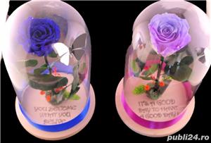 Trandafiri Criogenati 6.5cm cu cupola de sticla 27-30cm - imagine 2