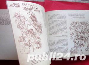 Bradut Covaliu, Ion Frunzetti, 1975 - imagine 4