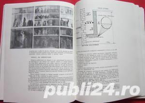  	 Muzeul de Arta al RSR, Alexandru Cebuc, 1983 - imagine 4