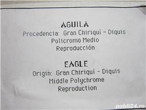 rar Vultur Aquila Eagle AD 800-1519 Diquís Arta Indiana PreColumbiana de colectie-cadou rar - imagine 7