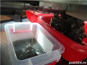 Presa ulei 0.4Kw 220V - imagine 4