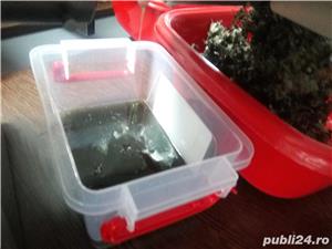 Presa ulei 0.4Kw 220V - imagine 6