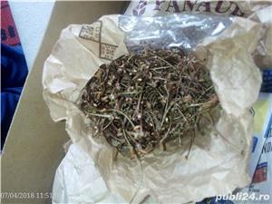 Cozi de cirese si visine uscate,ecologice,15 lei 300g