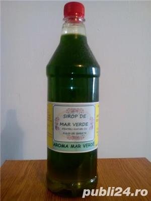 Sirop Granita Mar Fresh