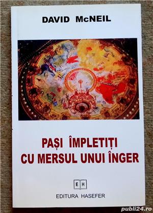 Pasi impletiti cu mersul unui inger, David Mcneil, 2005