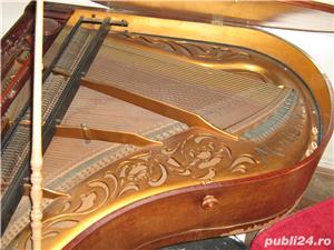 vand pian  - imagine 7