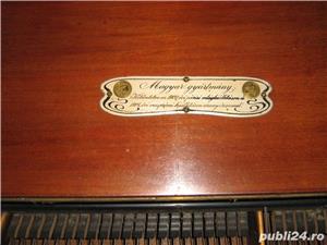 vand pian  - imagine 8