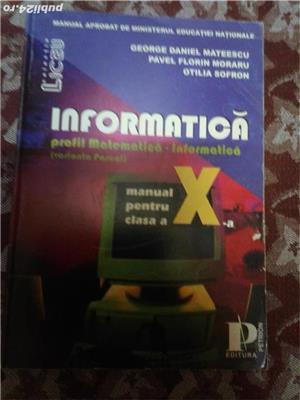 Informatica clasa a 10-a