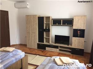 Apartamente cu 1 si 2 camere regim hotelier Timisoara central - imagine 4