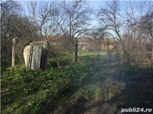 Casa la tara - imagine 10