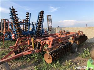 Rabe Konigsadler - imagine 7