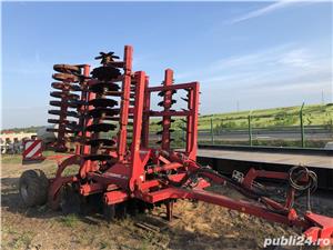 Rabe Konigsadler - imagine 6