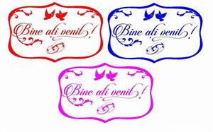 Placute bine ati venit