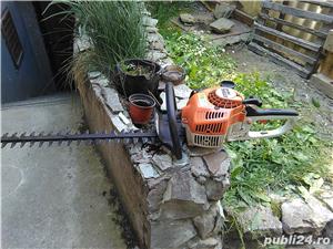 Foarfeca gard viu - imagine 2
