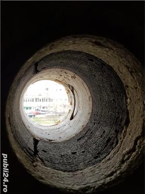 Gauri carota hota - imagine 5