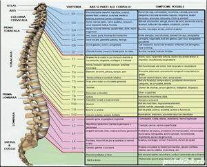 Terapeut Bowen Cluj Satu-Mare - imagine 3