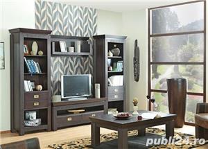 Montaj/demontare/asamblare/montare mobila/meserias priceput  - imagine 2