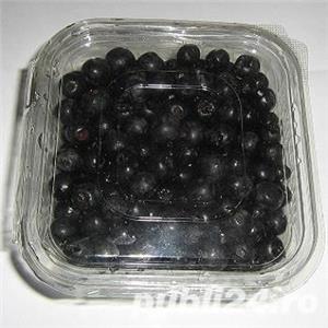 Vand fructe si produse din Aronia Bio: tinctura, otet, dulceata, sirop, concentrat - plantatie Gorj - imagine 4