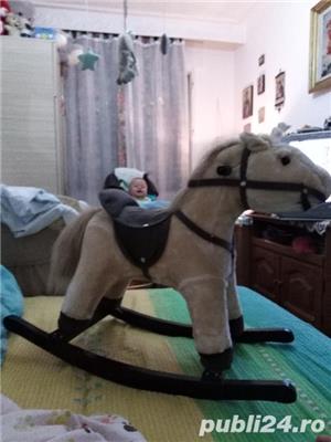  Calut balansoar - imagine 3