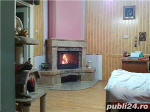 Seminee pe lemne  - imagine 7