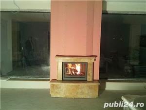 Seminee pe lemne  - imagine 9