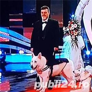 Spectacole interactive de magie - imagine 5