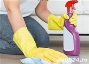 Curatenie generala si intretinere case, etc.  