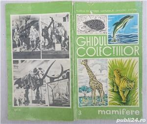 gid vechi de colectie muzeul Grigore Antipa mamifere zoologie