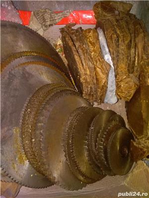 Scule aschiere  - imagine 3