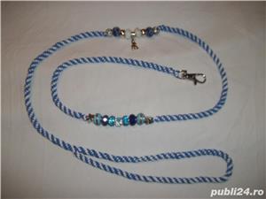 Lesa impletita manual pentru expozitii canine